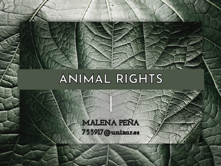 INFORMAL TED TALK: Animal Rights
