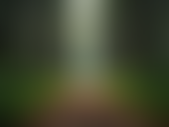 Traumasensible Ansätze in der schamanischen Arbeit