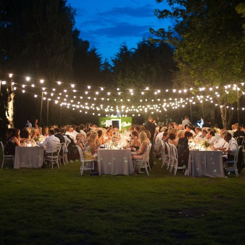 Festoon Lights Cool White Party Up Event Hire