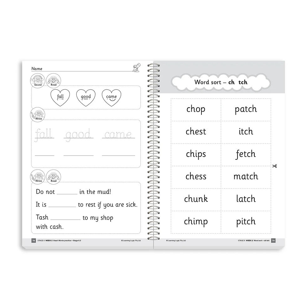 Thumbnail: Teacher Activity Resource Stage 6