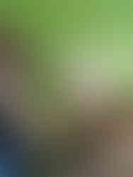 Students engaged in small-group literacy work, practicing spelling and phonics