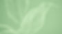 Abstract Leaves_edited.jpg