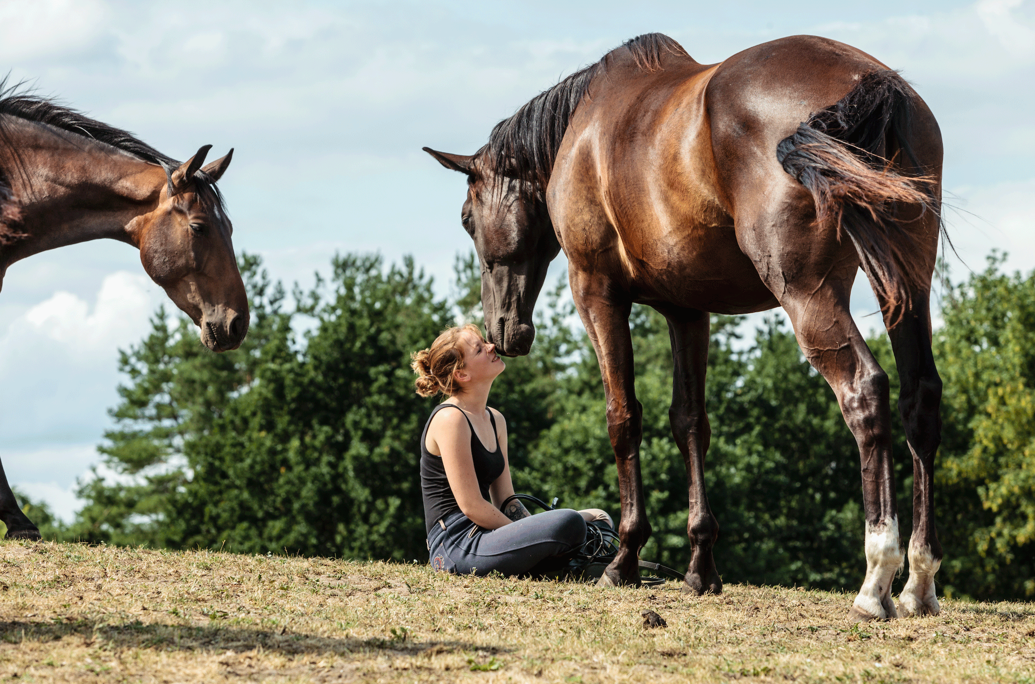 Au-pied-du-cheval.gif
