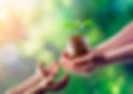 istockphoto-1255619324-612x612_edited_edited.jpg