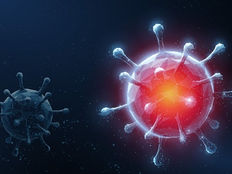 A new COVID-19 like pandemic could arise in next ten years