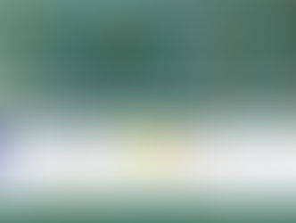 UN-convened Net-Zero Insurance Alliance breaks ground in Africa and Asia as it expands in Europe