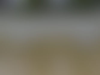 Higher insurance costs ahead, with Saola and Hong Kong’s worst black rainstorm expected to generate