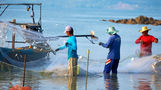 Nearly 3m Filipino farmers and fishermen to get insurance cover