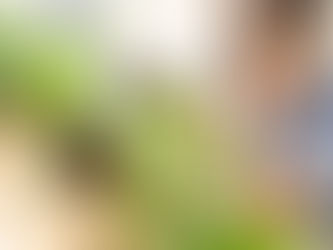 Yoga tại nhà cho người mới: Bí quyết để cơ thể dẻo dai và tâm trí thư thái