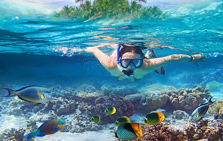 Young Women at Snorkeling in the Tropical Water.jpg