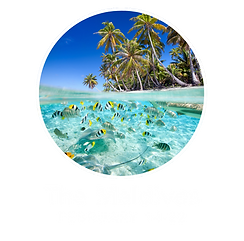 THE MALDIVES 2027
