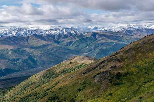Denali View.jpg