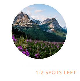 MONTANA 2026.png
