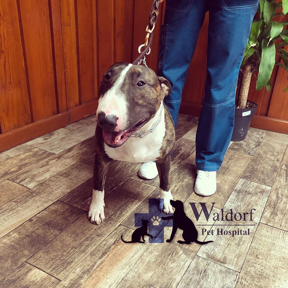 69674924_431449700800482_386587342144746