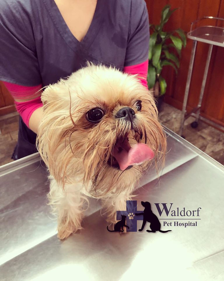 70021777_427645091180943_909437238488177