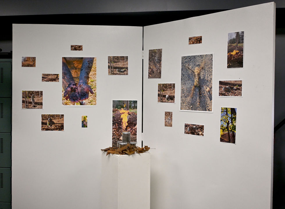 09_Lesuisse_Renaissance