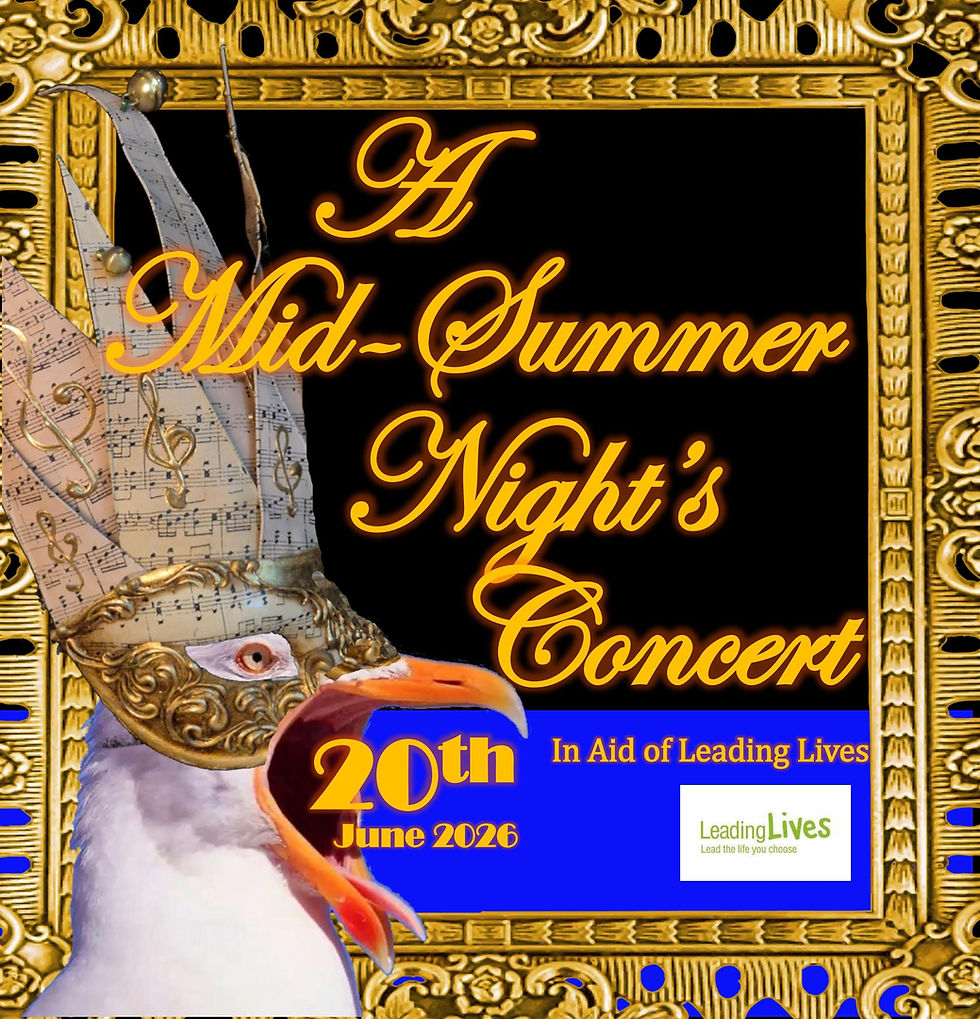 A Midsummer Nights Concert