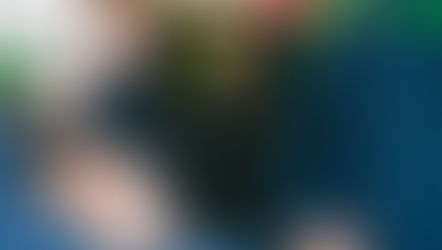 Feeder Series Weekly Recap: Wild cards and more