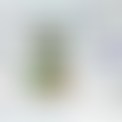 Projeto Acadêmico - Hospital de Tratamento e Prevenção a Obesidade
