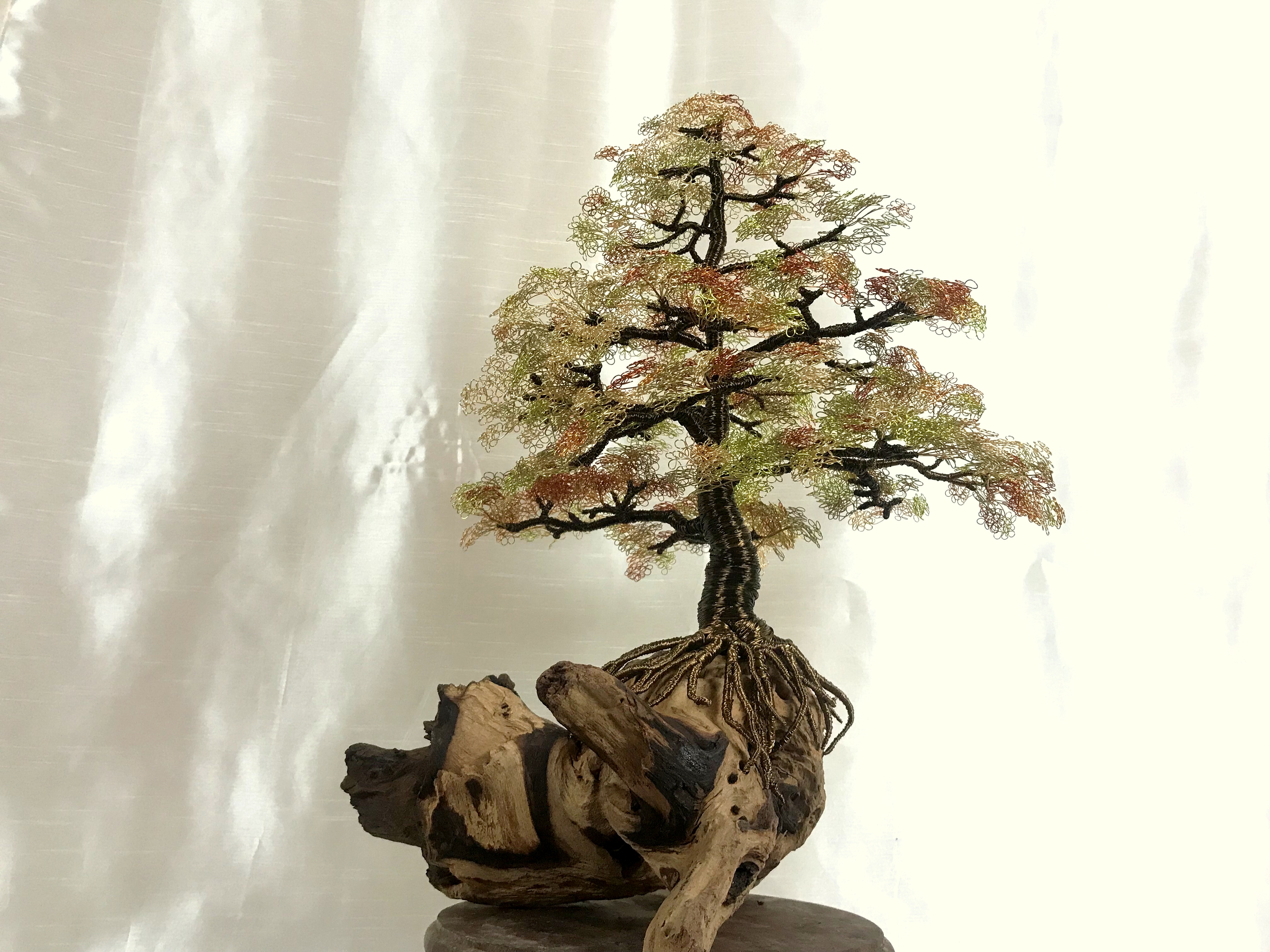 Yama Momiji