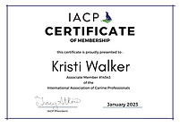 Walker Associate Membership Certificate.png