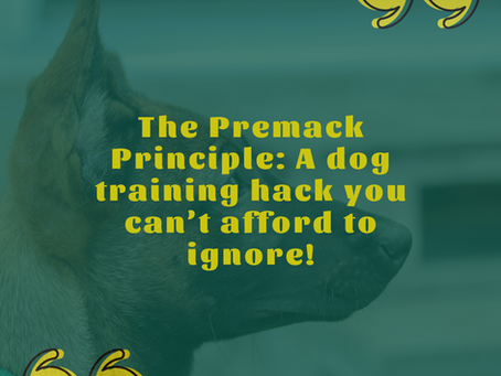 A dog training hack you can't afford to ignore!