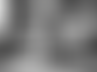 Dog Training for Beginners: A Quick Guide