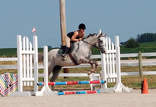 Grey Quarter Horse Jumper ridden by Jen Allen Training in Des Moines Iowa