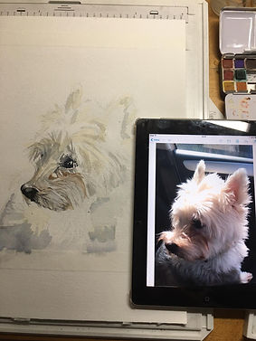 Portrait in Progress
