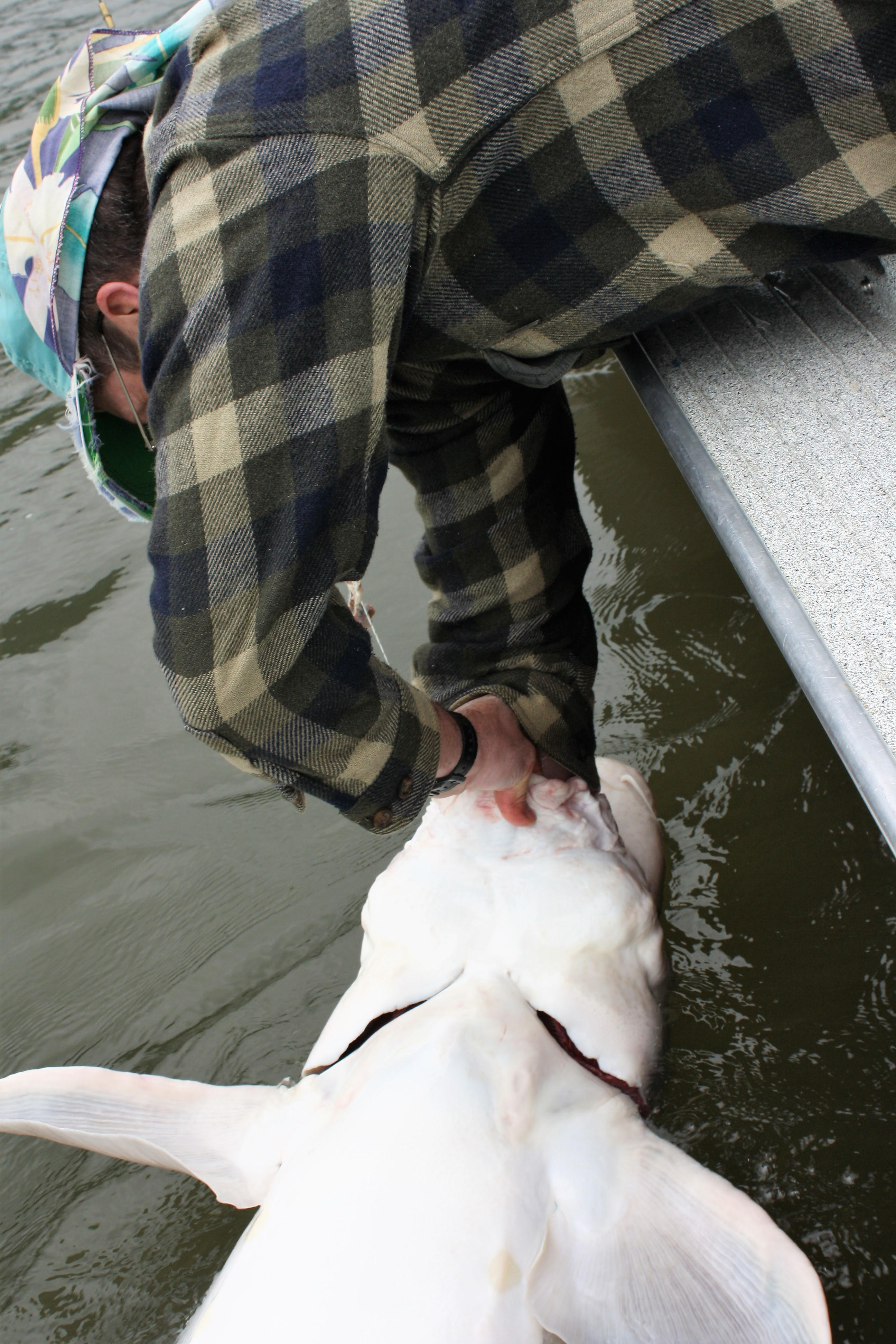 reaching for the hook.jpg