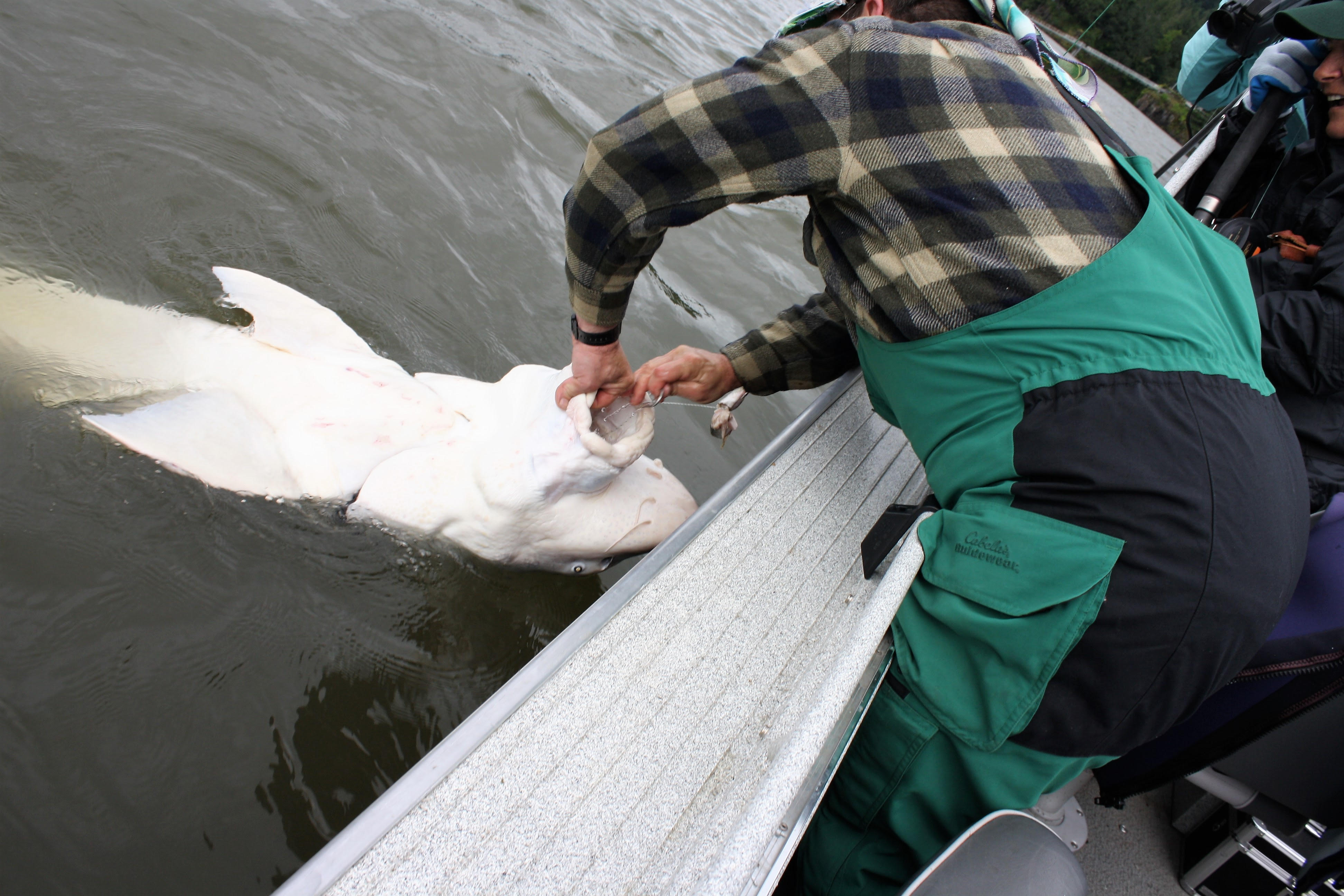 John removes the hook on Lana's fish.jpg