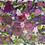 Thumbnail: Garden Melody