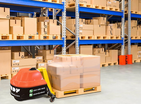 SANDY Robotics by Robolinx EN (1).png