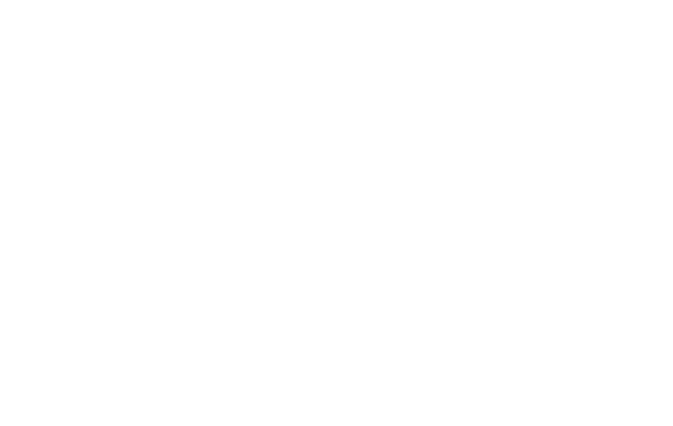 NB-Tag Blanc Small.png