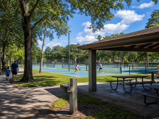 Image of a pickleball court and park with people playing