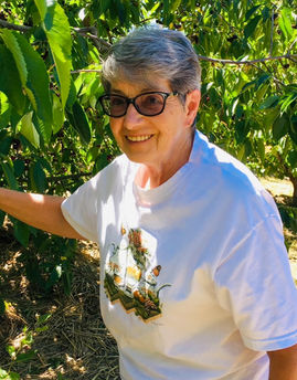 Diana G. Schmidt