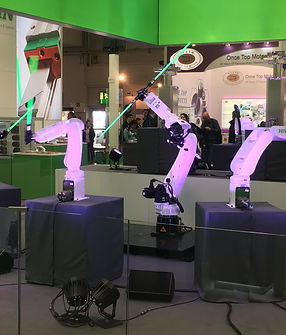 Copie de IMG_1230 (2).jpg