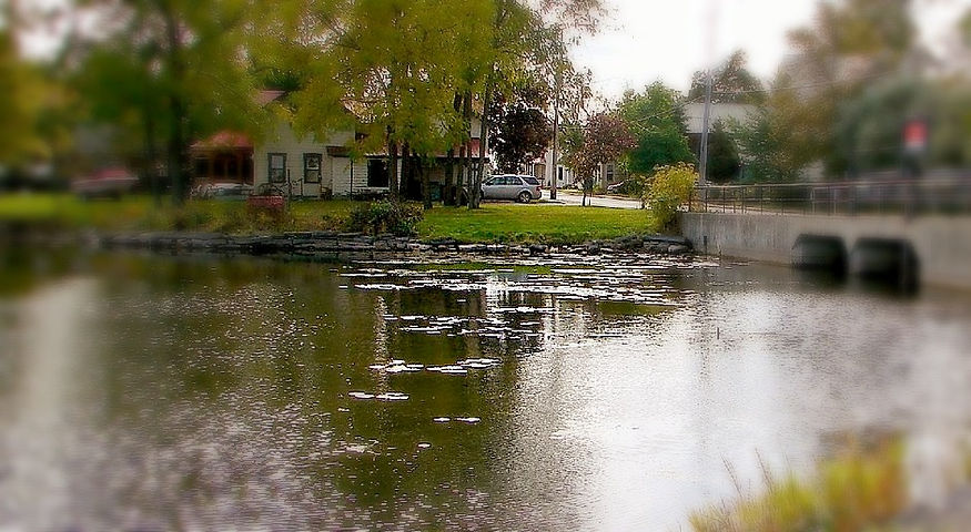 Sydenham lake pic_edited.jpg