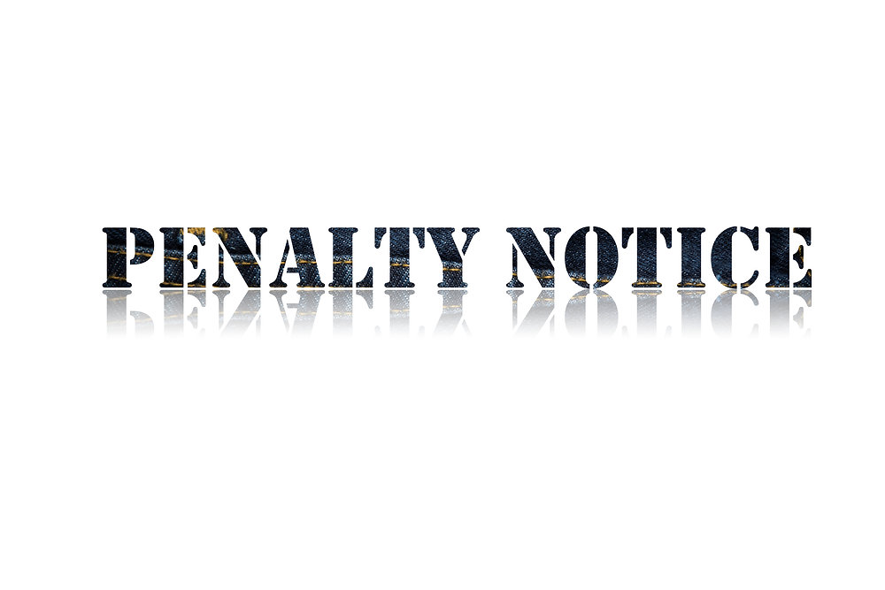Criminal Infringement Notices CINS Criminal infringement notices cins