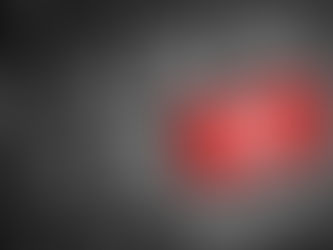 Section 4 Annulment Applications