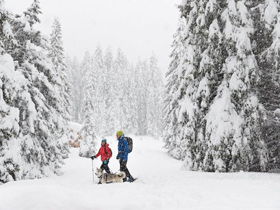 EMOZIONI CON LE CIASPOLE IN VAL DI FIEMME: Itinerario malga Cugola Alta - Passo Oclini
