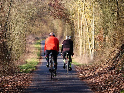 LA MAGIA DELL'AUTUNNO IN TRENTINO: con l'e-bike lungo la ciclabile della Val di Fiemme