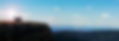 tiggrr background 2.jpg