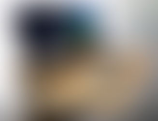 FE Telecom nieuwe partner van Showcase!