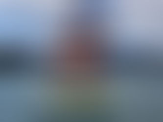 Japan Cup - Final Field Analysis