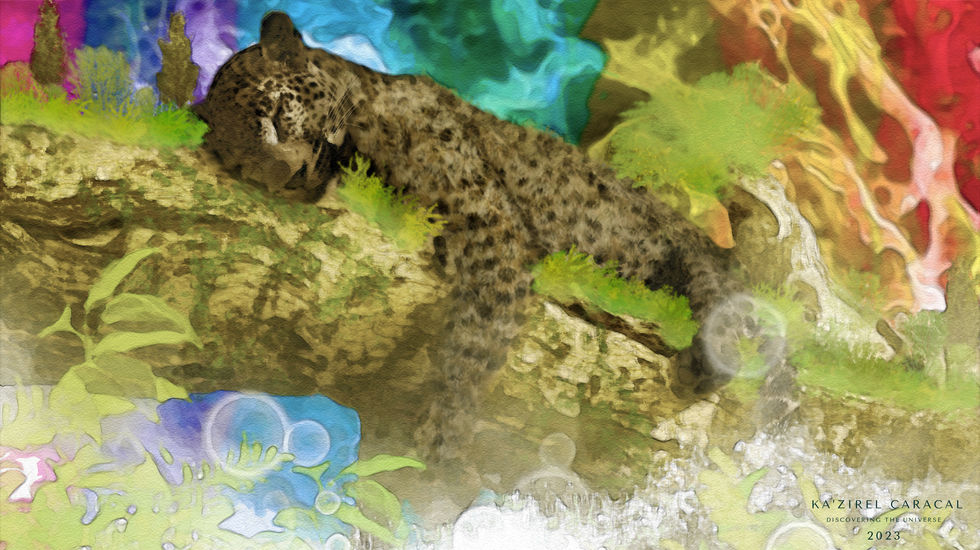 Copy of Melody Jaguar Resampled 300-600DPI Signature.jpg