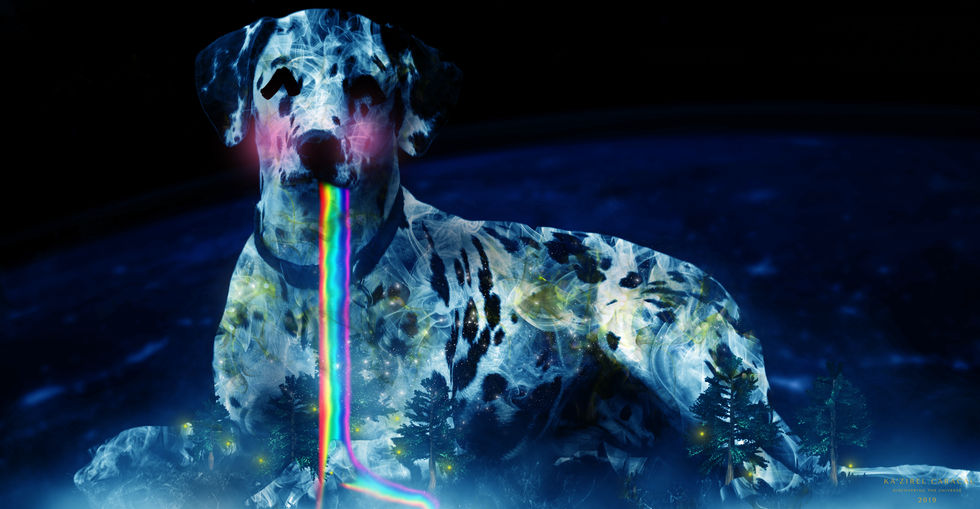 Copy of Bailey Resampled 300-900DPI Signature.jpg