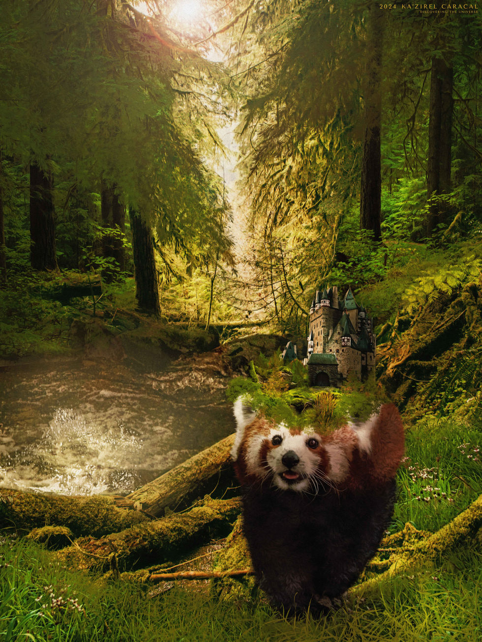 Official Web-Reduction Zura Red Panda 300DPI 60cm x 80cm.jpg