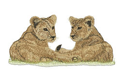 Embroidery Digitizing