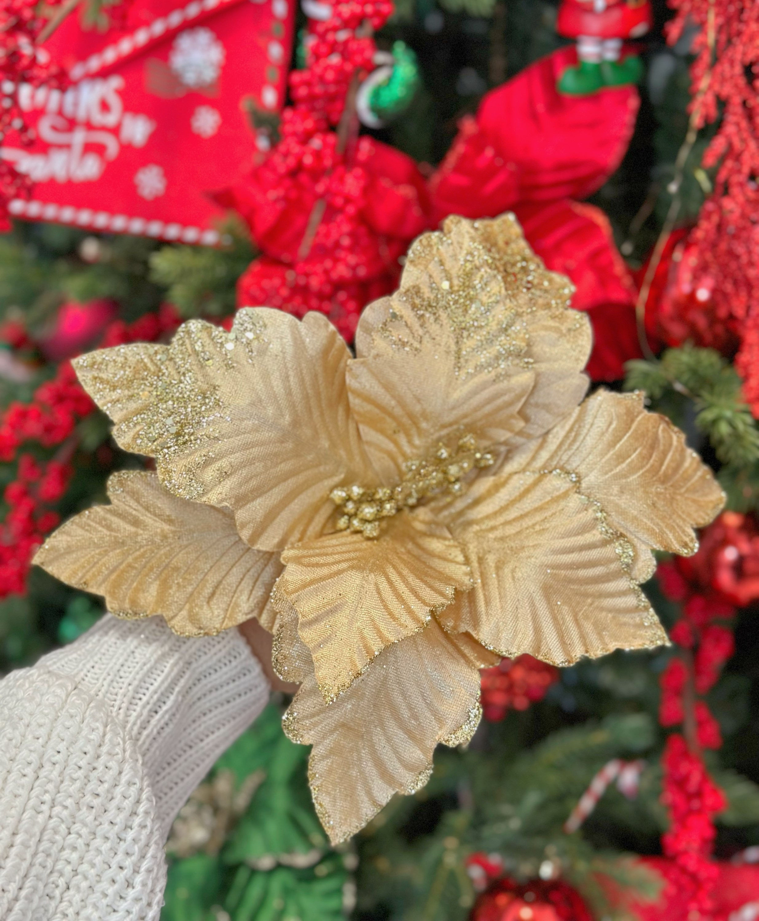 Vianočná ruža - Gold 